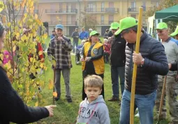 Festa dell'albero 2017